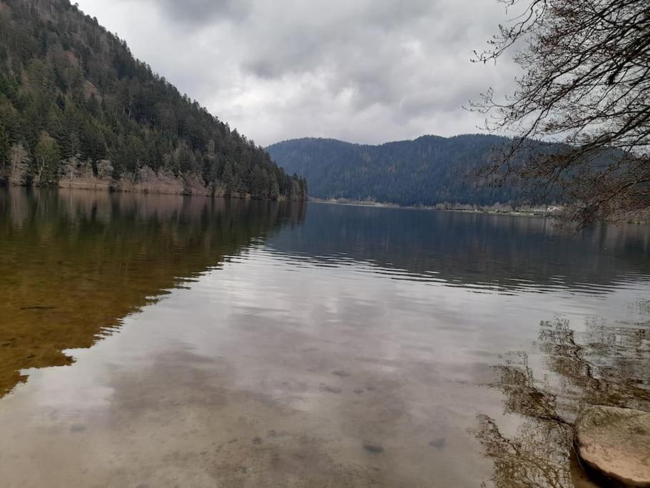 Vacances Xonrupt-Gerardmer Exterior photo